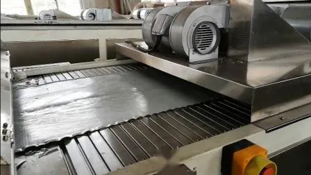 Máquina de recubrimiento en polvo para plástico termoestable en polvo/proceso de fabricación de pintura en polvo/polvo electrostático/proceso de fabricación de recubrimiento en polvo