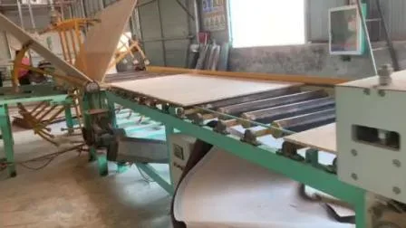 Lijadora de banda ancha de madera contrachapada de doble cara para maquinaria de carpintería de China Qingdao