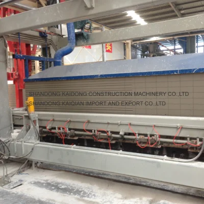 Máquina ligera 20000m3 del panel de pared de la planta de losa de AAC
